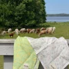 Djerf Avenue Litet Linnehanddukset Sommarstuga Clearance